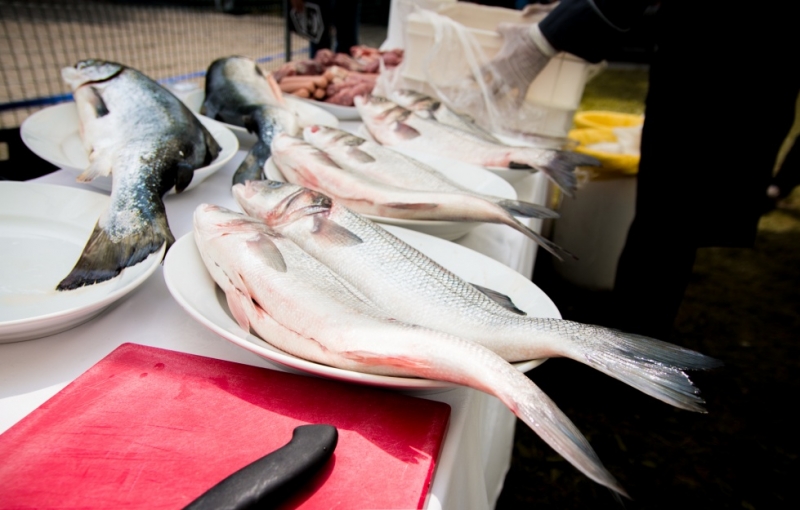 Smart Eventi per Canadian Solar: BBQ Team building sul Lago di Iseo - 27