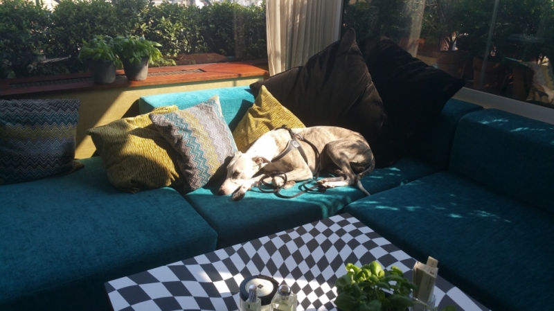 Smart Eventi: press day per Estée Lauder Jo Malone. - 3