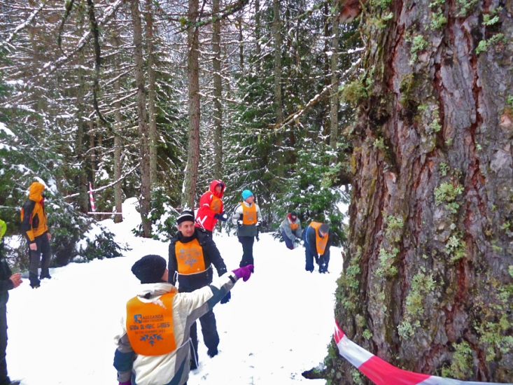 Alleanza Assicurazioni - 3