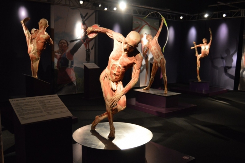 Mostra Real Bodies - 9