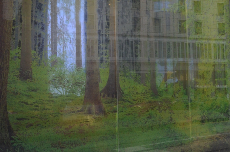 Smart Eventi: presentazione linea prodotti Aquilea di Laborest - 9