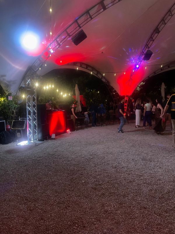 Un’indimenticabile festa a tema - 1